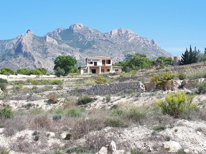 House on La Finca